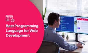 Best Programming Language for Web Development - Pros, Cons & Recommendations
